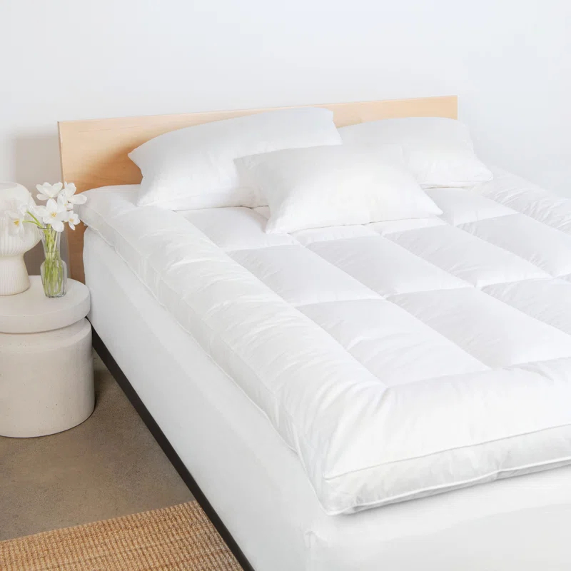 Alwyn Home Feather & Down Plush Luxury Mattress Topper