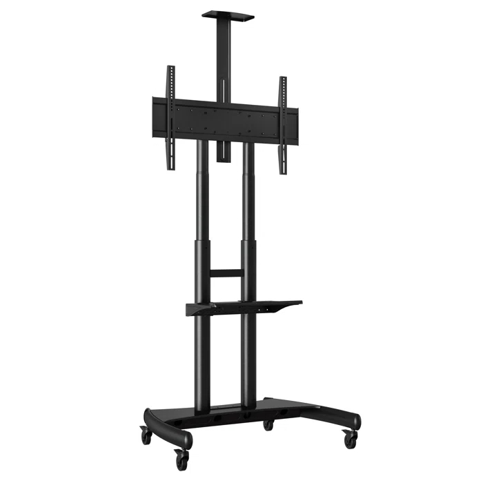 Symple Stuff West Harptree Symple Stuff Single Screen Floor Stand Mount