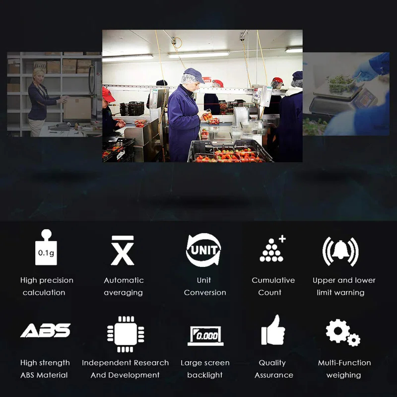 MODERN WALLS LLC Industrial Counting Scale Gram Scales For Parts And Coins 66Lb/0.00022Lb-30Kg / 0.1G Accuracy With RS232 Port For Connecting Computer Or Printer
