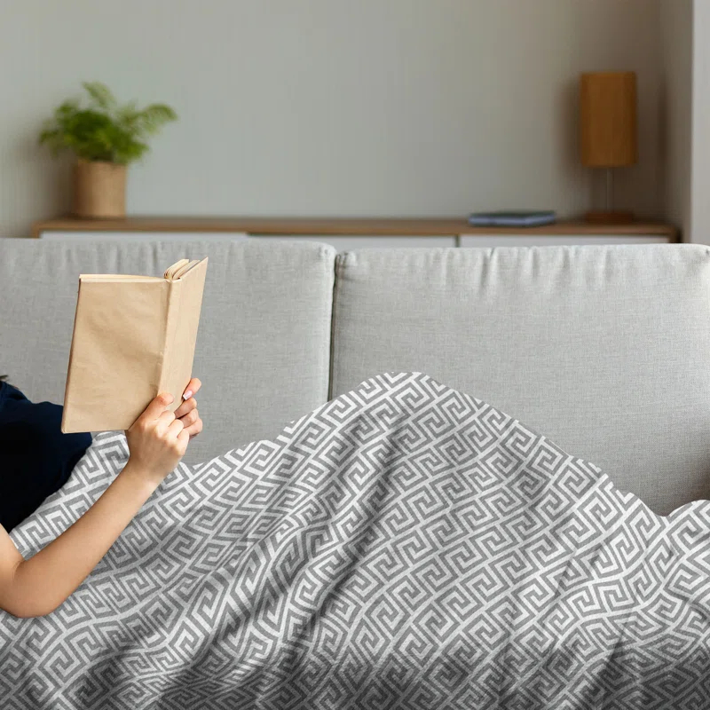 Ambesonne Geometric Fleece Throw Blanket Monochrome Pattern Lines Pale Grey White
