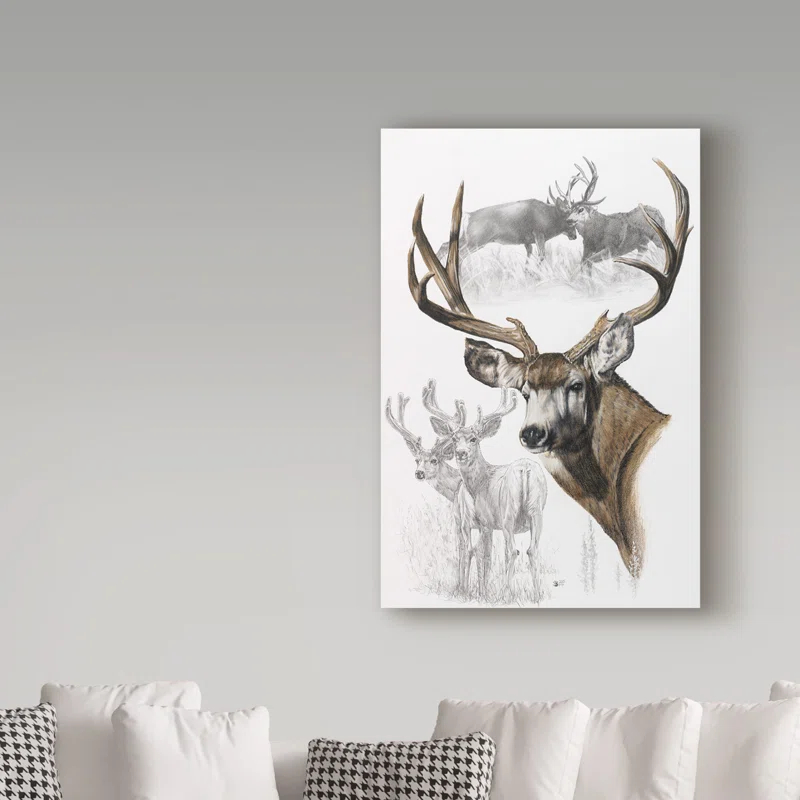 Trademark Fine Art Barbara Keith " Mule Deer " by Barbara Keith
