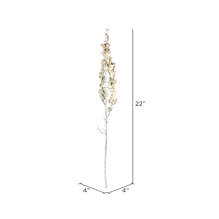 Primrue Senecio Arrangement (Set of 6)