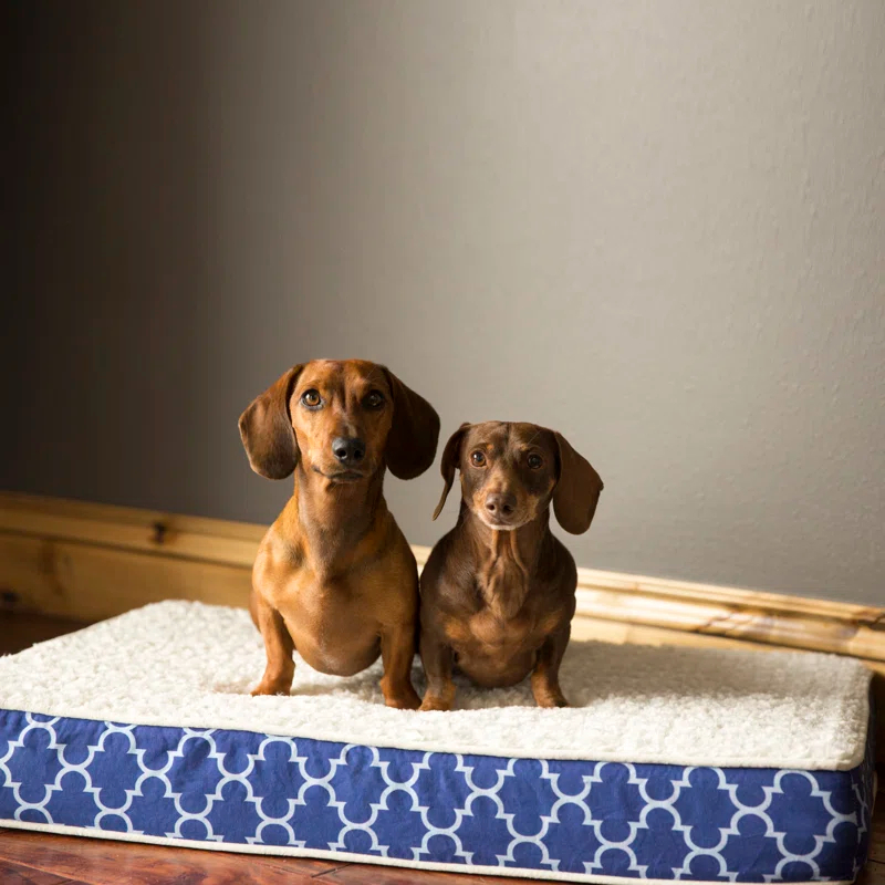 Tucker Murphy Pet™ Cottrell Waterproof Designer Pillow