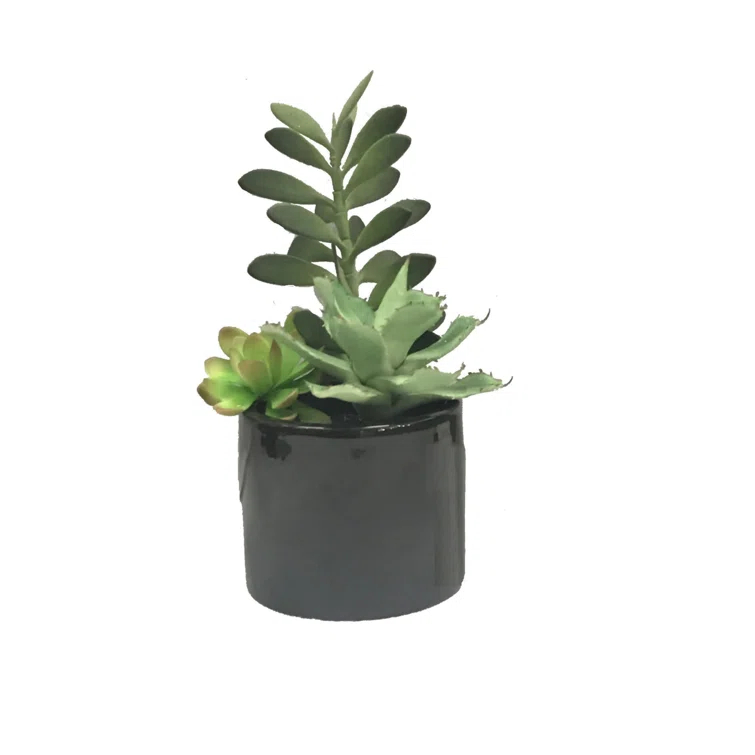 Union Rustic 9'' Faux Succulent in Cement Pot