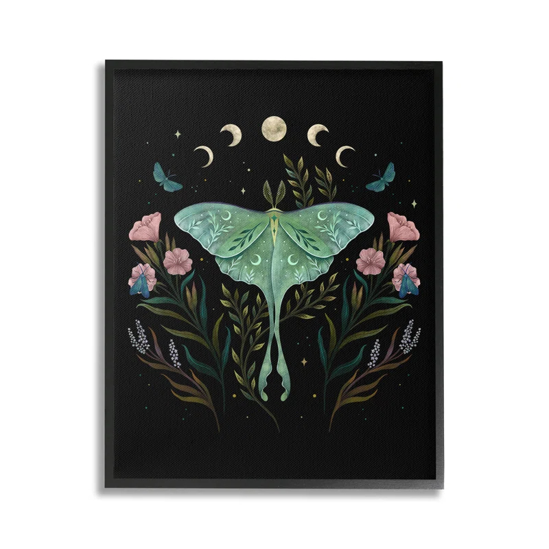 Stupell Industries Luna Moth with Florals Framed Giclee Art by Episodic Drawings