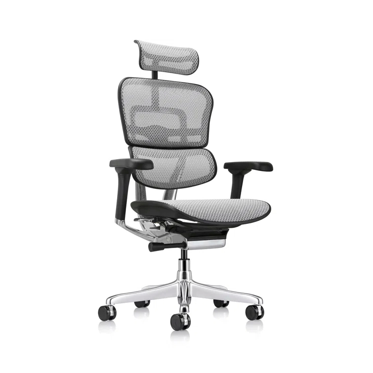 Eurotech Seating Ergohuman Executive Chair with Headrest