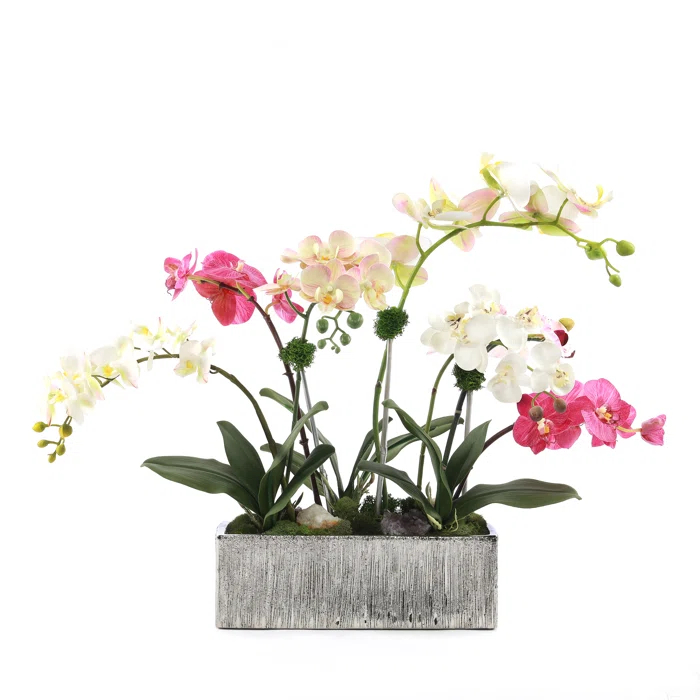 Jenny Silks Orchid Arrangement in Pot