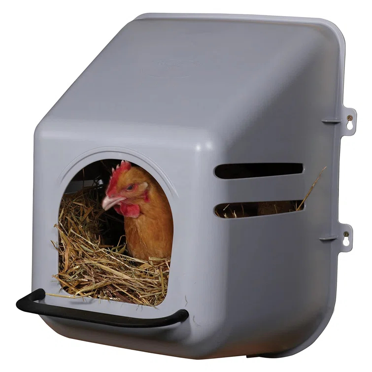 Little Giant Plastic Chicken Nesting Placemat | Wayfair