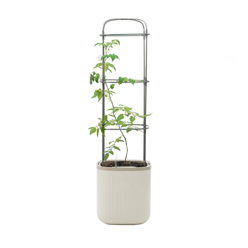 Vego Garden Mini Tomato Plastic Outdoor Pot Planter with Trellis