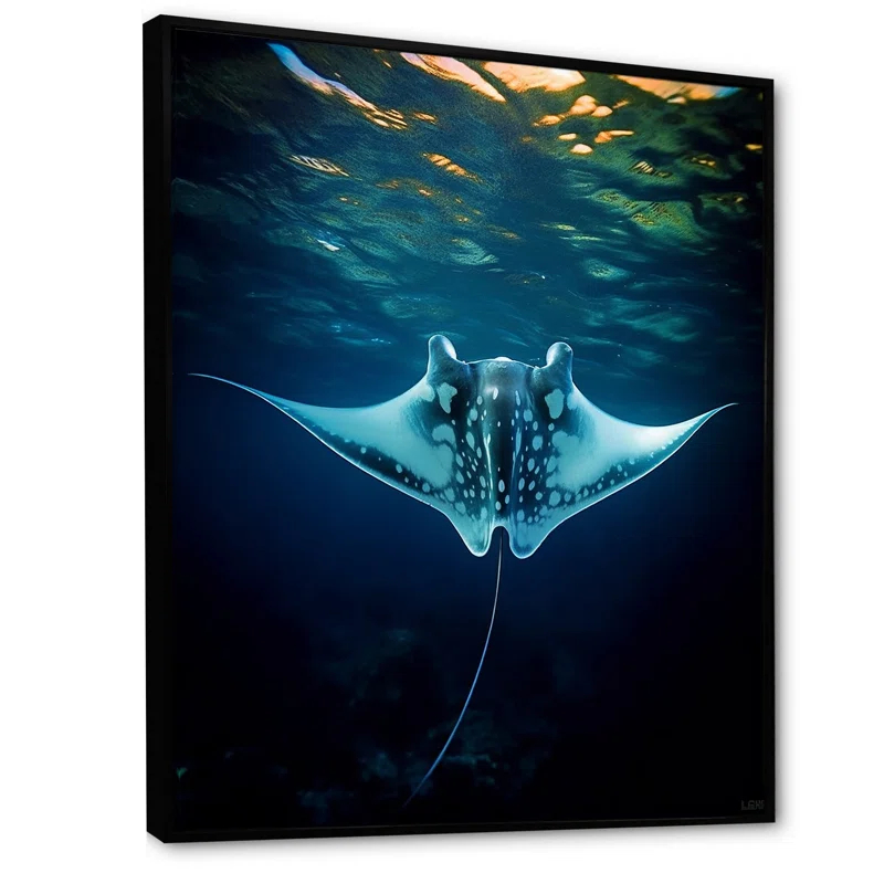 " Giant Oceanic Blue Manta Ray "