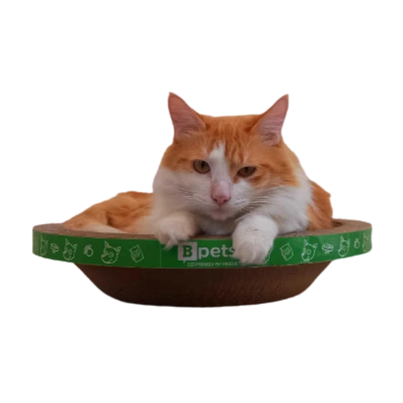 PetPro B Kitty Round Scratcher - Fun and Durable Cat Scratching Pad for Happy, Healthy Cats…