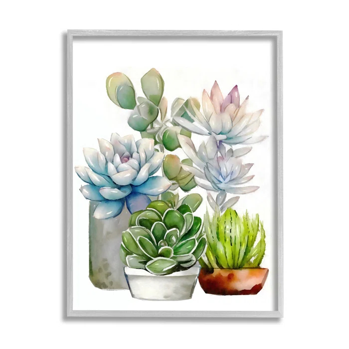 Stupell Industries " Mixed Potted Succulent Garden " by Ziwei Li