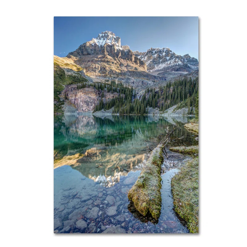 Trademark Fine Art "Lake O'Hara Scenic Shoreline" by Pierre Leclerc Photographic Print on Wrapped Canvas