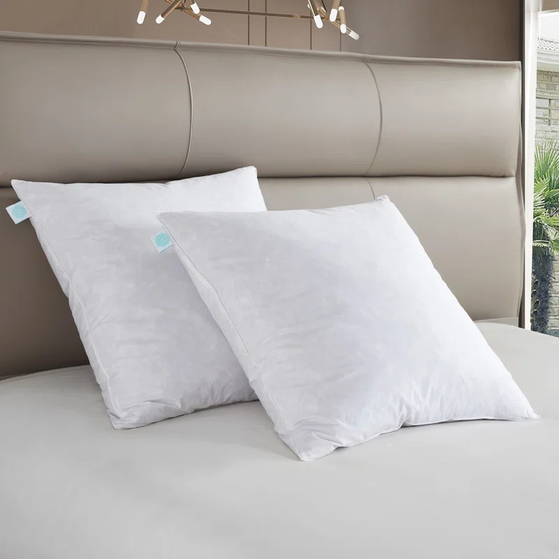Martha Stewart Martha Stewart 20X20'' Decorative Feather Pillow Insert (2PK) - Medium Firm (Set of 2)