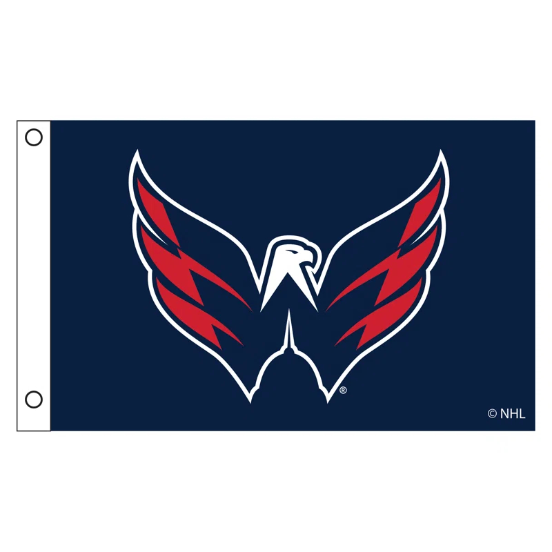 Double Sided 36'' H x 60'' W Polyester House Flag