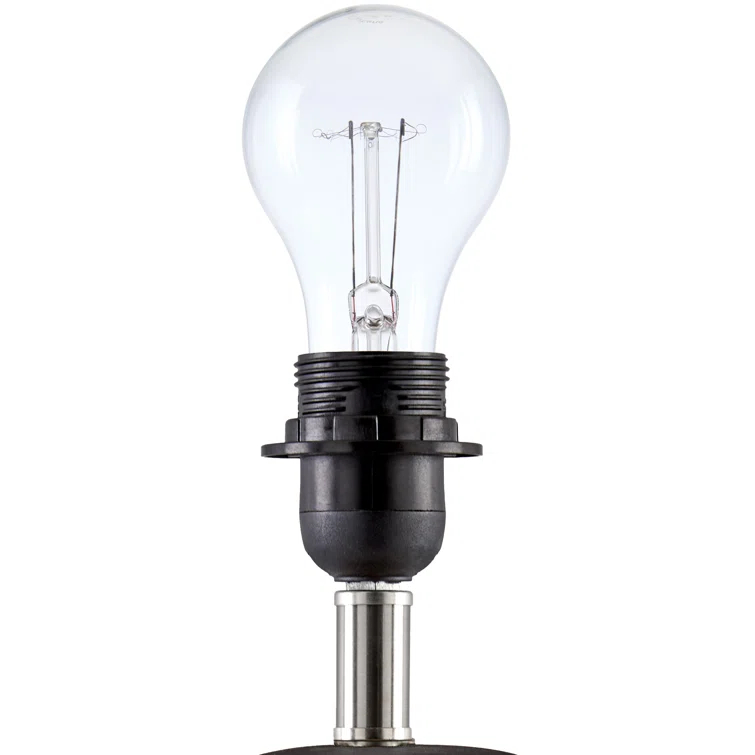 Momsen Scallop Shade Matte Lamp