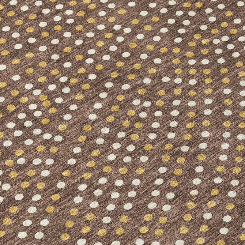 Machine Washable Indoor/Outdoor Chayden ACN1021 Brown 9' x 12' Rug