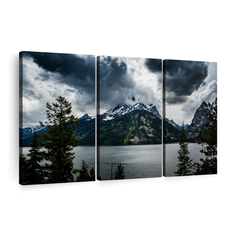 Elephant Stock " Grand Teton National Park II "