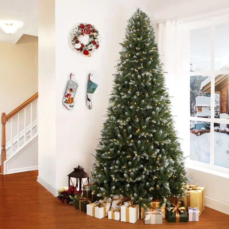 The Holiday Aisle® Traditional Pre-Lit Artificial Fir Christmas Tree, White Tip Warm Lighted Christmas Tree with Stand