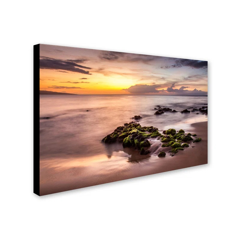 Highland Dunes Coastal