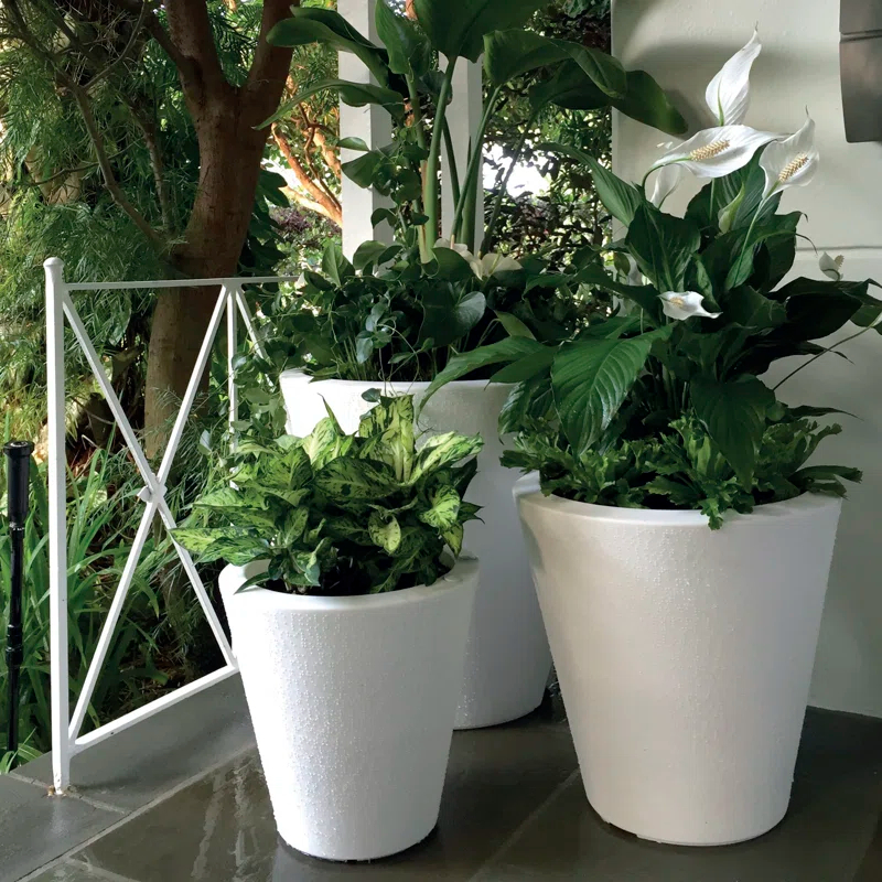 Dot Planter