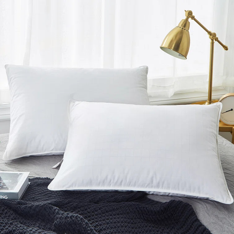 Alwyn Home Down Blend Plush Pillow (Set of 2)