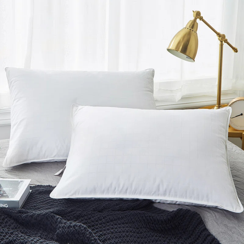 Alwyn Home Down Blend Plush Pillow (Set of 2)