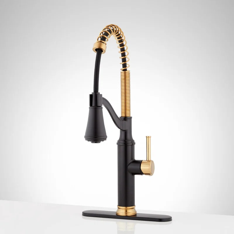 Signature Hardware SHXCCB107MBBG Pull Down Single Handle Kitchen Faucet with Accessories