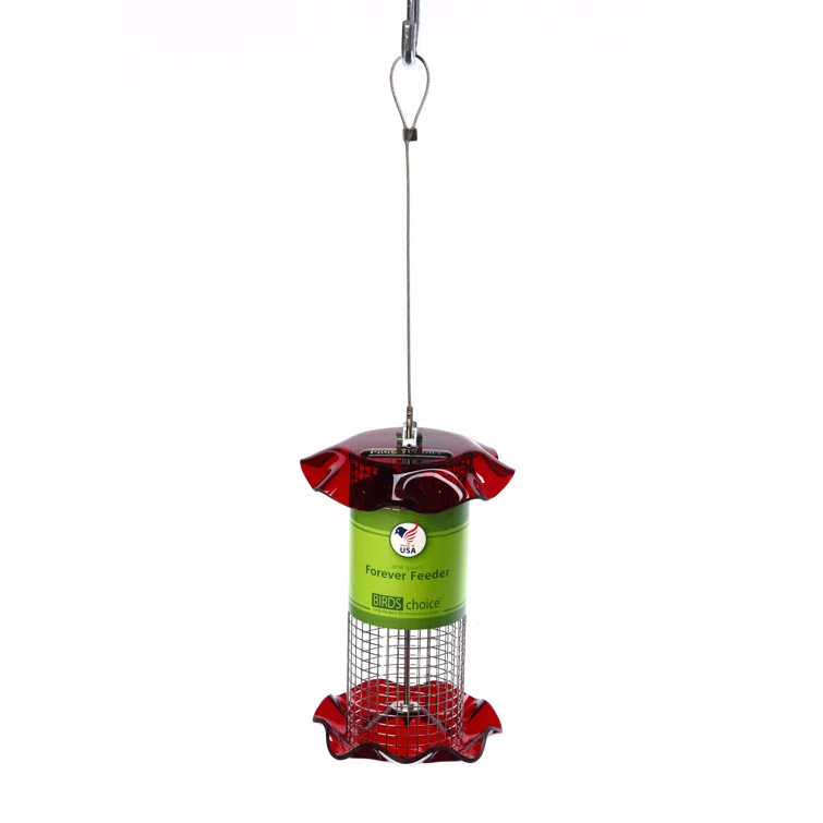 Birds Choice Small Sunflower Seed Forever Feeder with Stainless Steel Screen