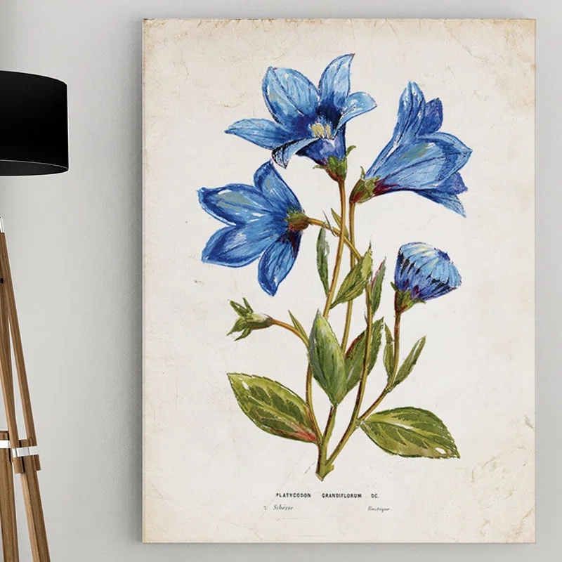 Wexford Home Farmhouse / Country