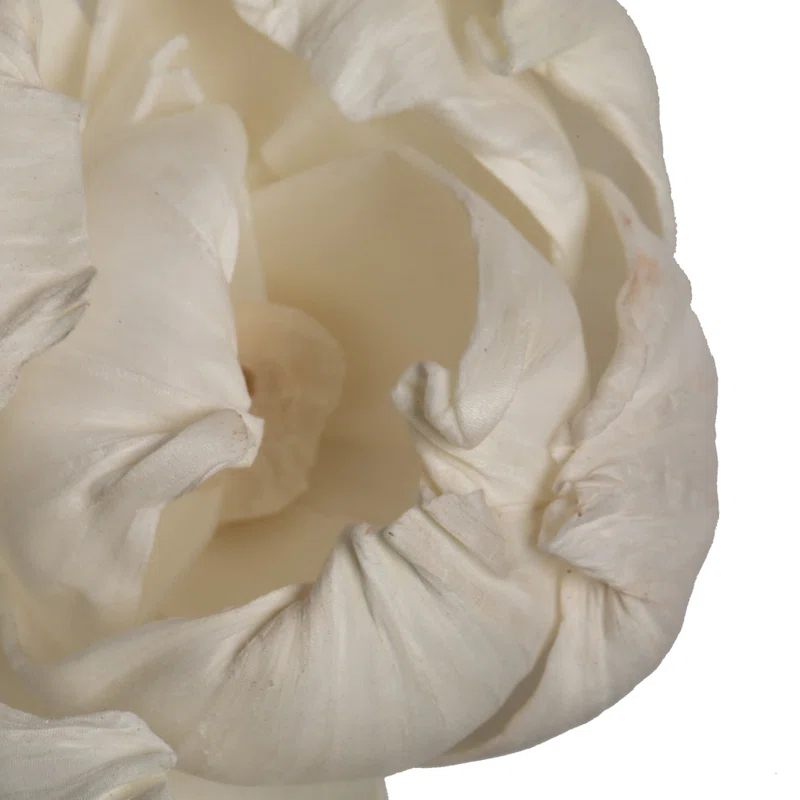 Vickerman Preserved Arrangement (Set of 24)