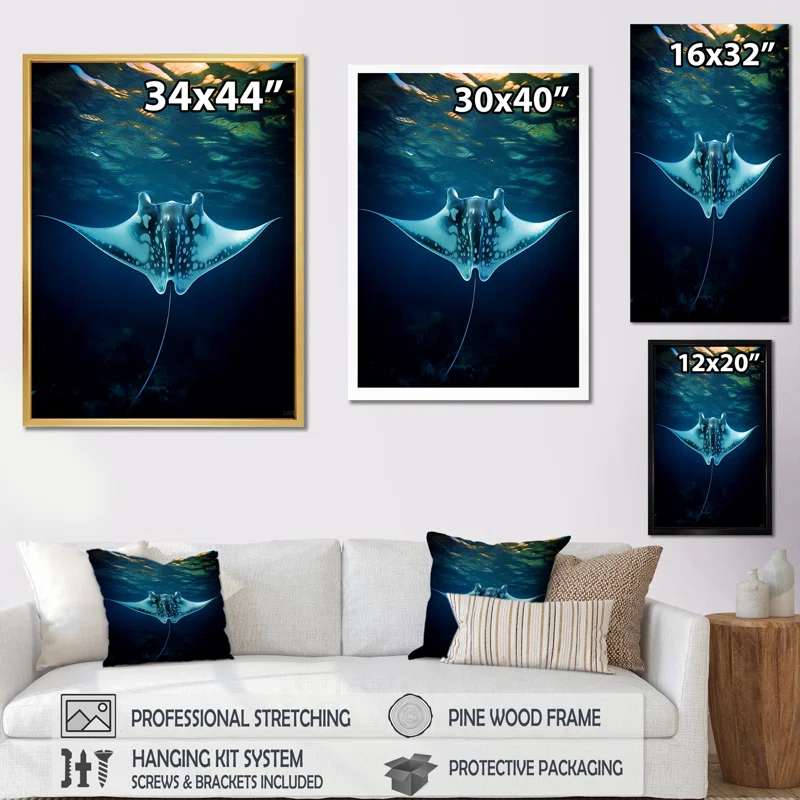 " Giant Oceanic Blue Manta Ray "