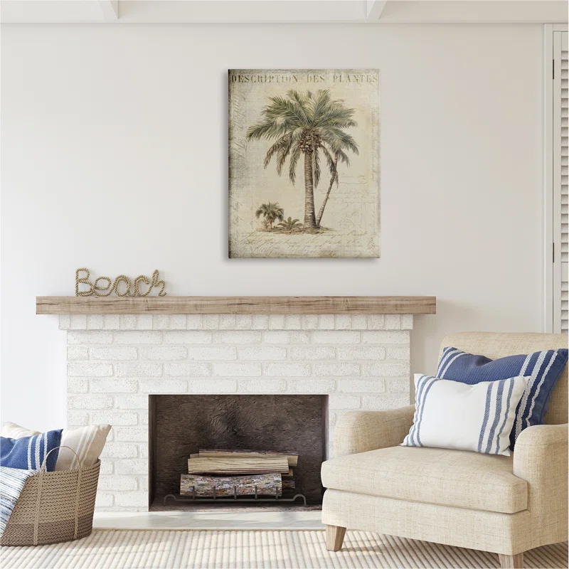 " Vintage Palm Tree Study " by Andrea Haase