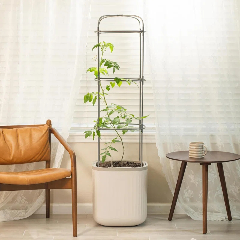 Vego Garden Mini Tomato Plastic Outdoor Pot Planter with Trellis