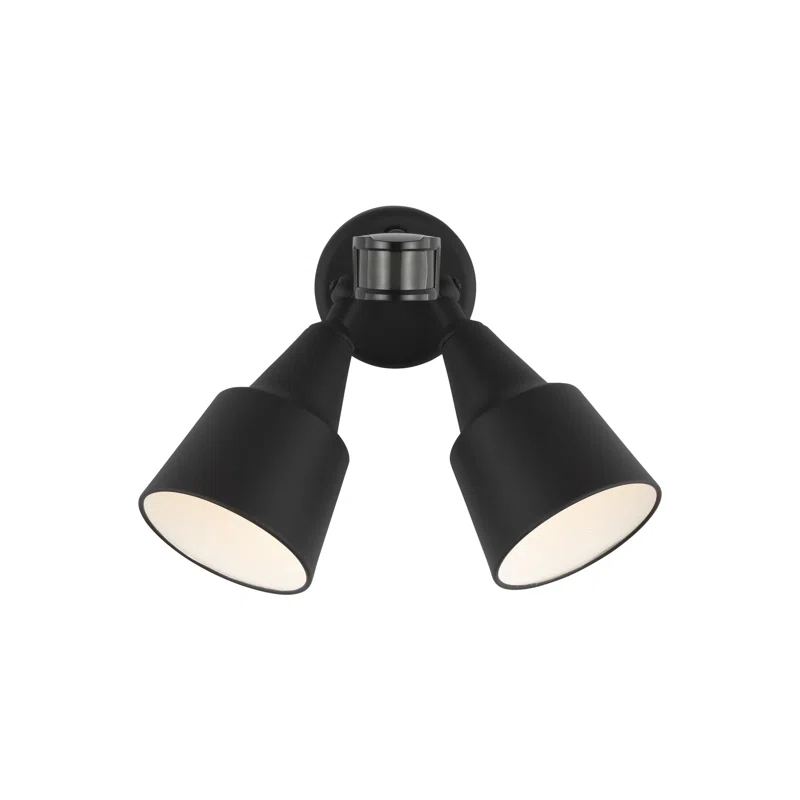 Metal Flood Light