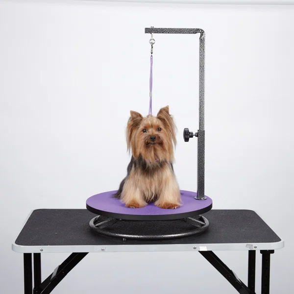 Master Equipment 4.8'' H x 18'' W x 18'' D Metal Dog Tabletop Grooming Table