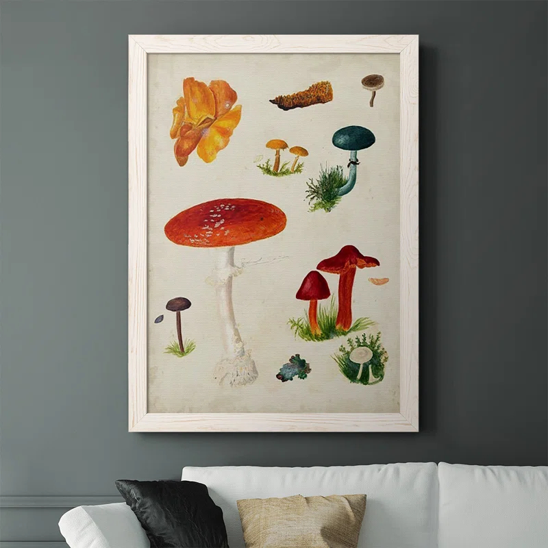 Wexford Home Mushroom Species VIII " Mushroom Species VIII " Painting Print