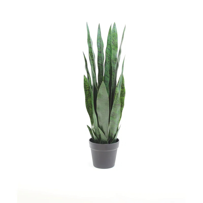 Primrue Faux Snake Plant (Sansevieria) Tree in Pot Liner