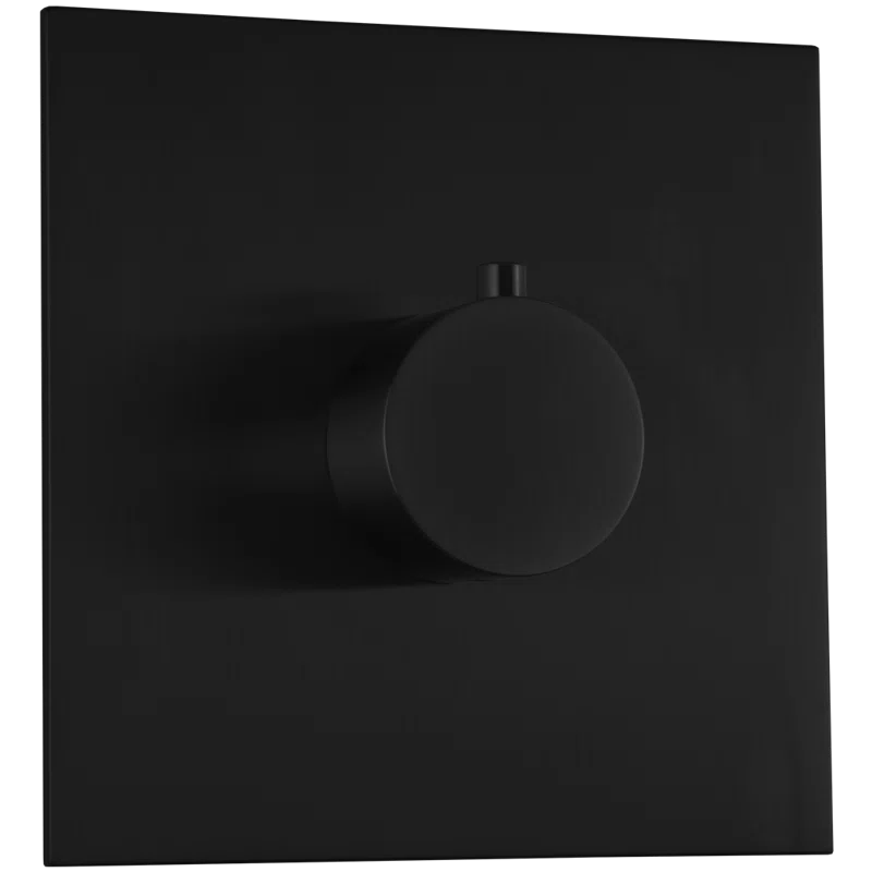 Artos F904A-9TKBK Thermostatic Valve Trim Kit, R+S