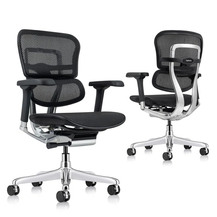 Eurotech Seating Ergohuman Task Chair