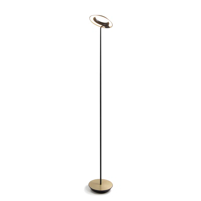Royyo 45.5'' LED Floor Lamp