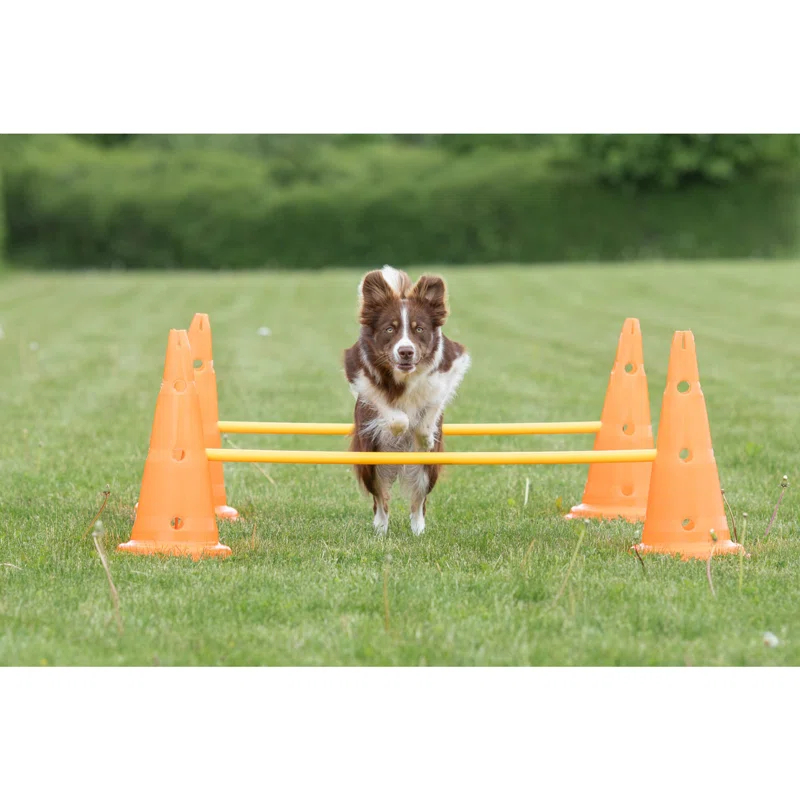 TRIXIE TRIXIE Dog Agility Hurdle Cone Set, Portable Canine Agility Training Set