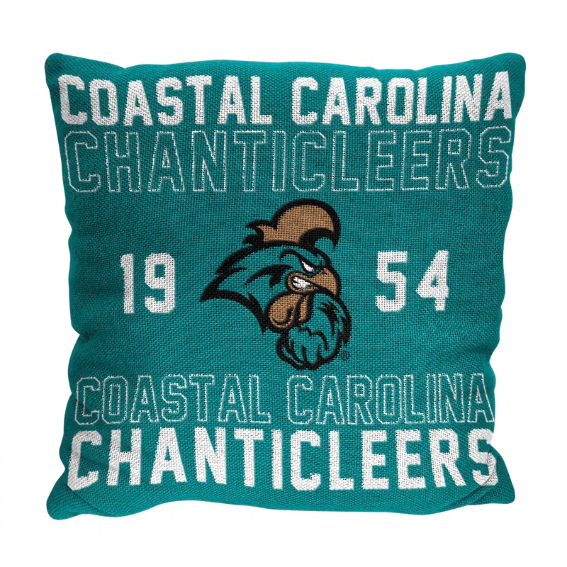 Northwest NCAA Collegiate Stacked Throw Pillow, College Fan Decor, 20x20 Inches