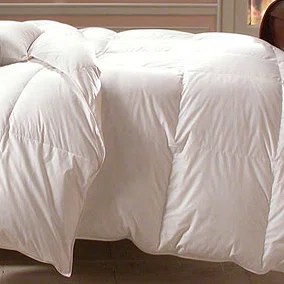 Downright Bernina Lightweight Down Comforter | Perigold
