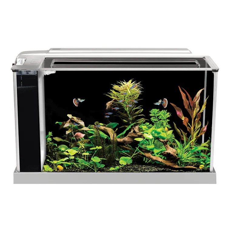 Fluval Fluval Spec V Aquarium Kit 5 Gal, White