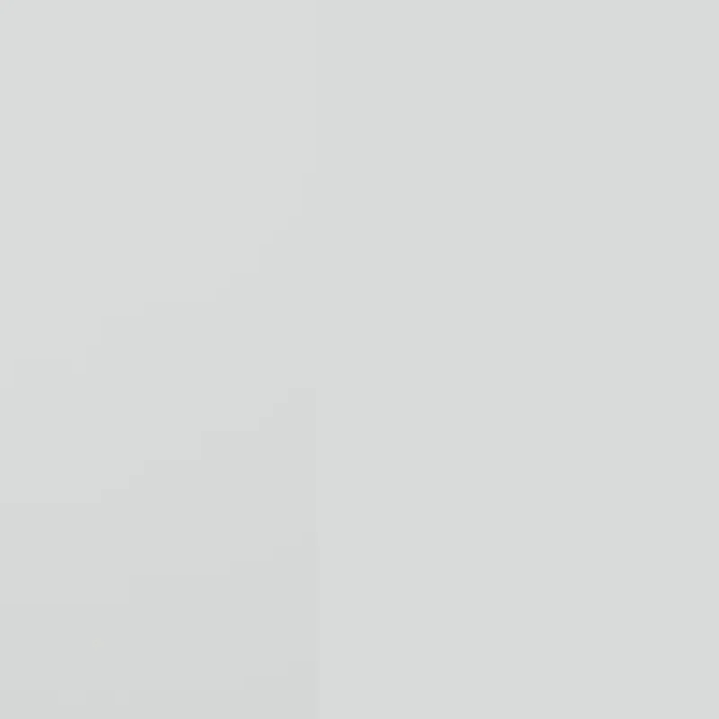 Belldinni 37.4'' x 81.5'' Steel Front Entry Doors