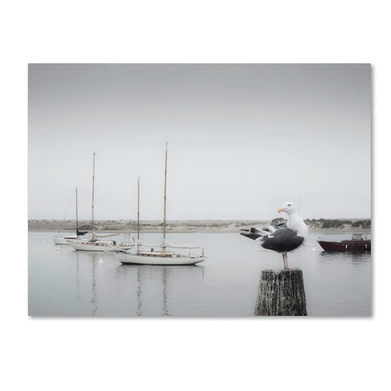 Trademark Fine Art "Four Boats and Seagull" by Moises Levy Photographic Print on Wrapped Canvas