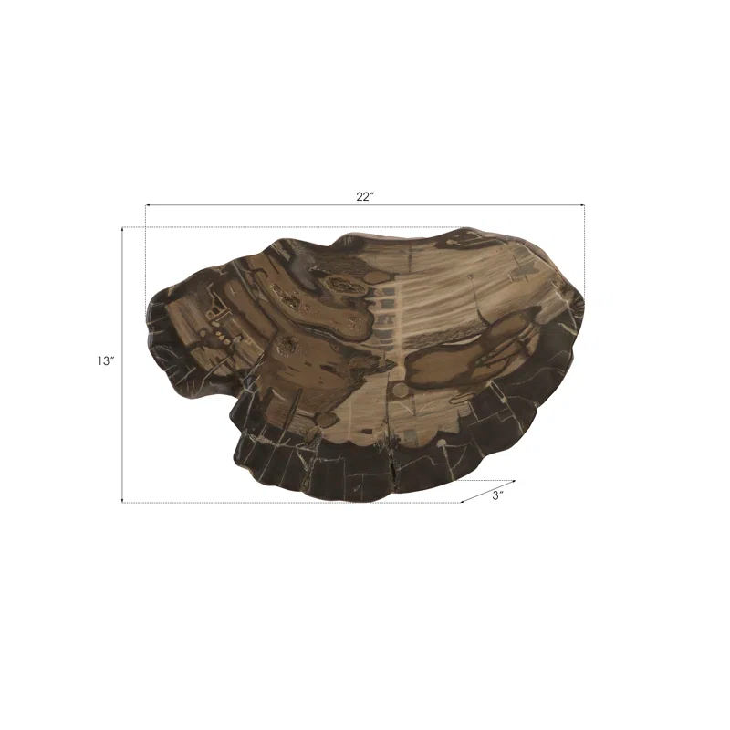 Cast Naturals Petrified Wood Wall Décor