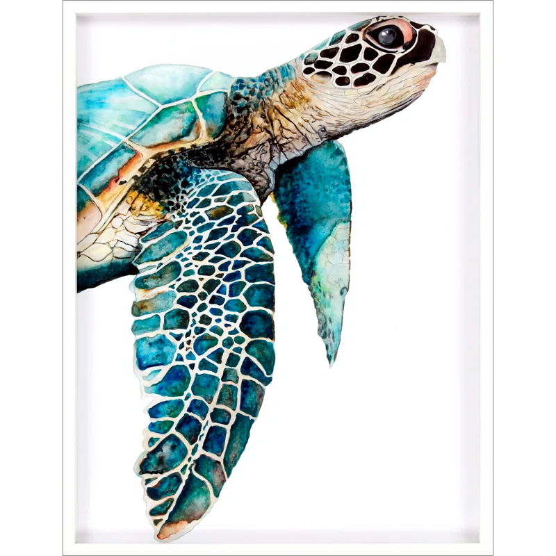 " Great Sea Turtle "