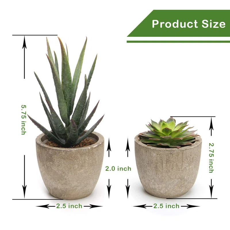Primrue Artificial Succulent Plants Potted, Assorted Decorative Faux Succulent Potted Fake Cactus Cacti Plants With Pots, Set Of 5
